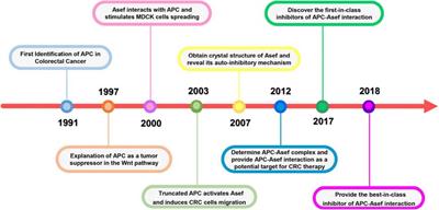 Advances and Insights of APC-Asef Inhibitors for Metastatic Colorectal Cancer Therapy